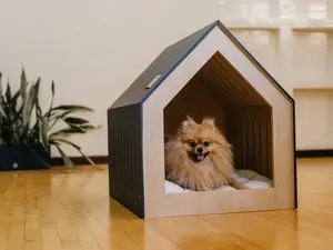 Individuelles modernes hölzernes Haustierhaus Hundekennel Haustiermöbel Katzenbett Haus Hundekiste-Betthaus