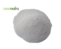 Factory Price High Purity Food Sports Supplement Iron Powder Liposomal Iron Powder