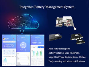 WHET Smart BMS Mit Cloud-basierter 36V 48V 72V 60Ah Lithium-Ionen-Golf wagen batterie für Club Car Classic Electric Vintage Car - Product Image 6