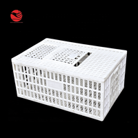 Cage à poulets en plastique 900*600*405 mm, prix des cages à volailles pour élevage de poulets de chair