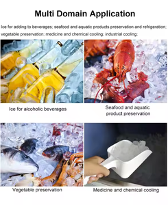 Macchina Industriale per la Produzione di Ghiaccio a Tubo in Cina, Capacità 1-2 Tonnellate con Compressore Bristol e Motore - per Vendita in Cambogia - Product Image 4