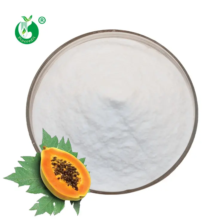 Pincredit Supply Bulk Price Food Grade Papaya Extract Papain Powder