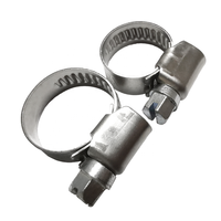 Collier de serrage à vis sans fin robuste en acier avec finition zinguée OEM 21-38mm, prix usine, vente chaude