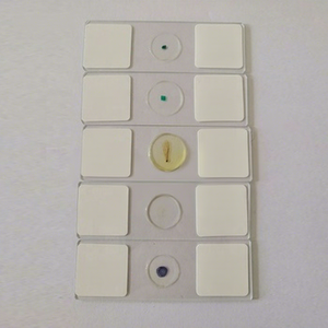 Portaobjetos de Botánica para <span class=keywords><strong>Microscopio</strong></span>: Bulbo de <span class=keywords><strong>Cebolla</strong></span>, Epidermis W.m. - Product Image 1