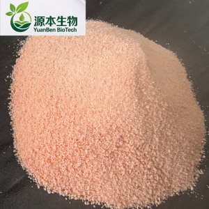 Directement du fabricant. Haute qualité. Sain. Extrait de <span class=keywords><strong>cerise</strong></span> d'Inde occidentale en forme granulaire. - Product Image 4