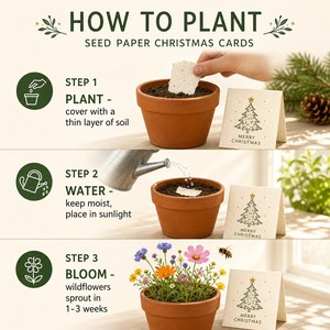 <span class=keywords><strong>Carte</strong></span> de vœux de Noël A6 en papier grainé, plantable, avec motif Robin, baies de houx et fleurs sauvages, vente en gros - Product Image 5