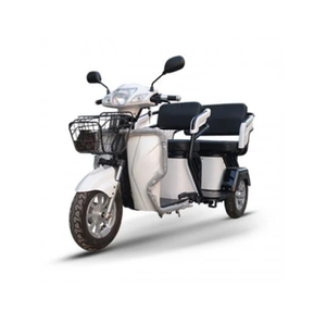 Asientos de gran tamaño para dos personas, cesta de cubo grande, carro de almacenamiento, movimiento, bicicleta de compras, triciclos eléctricos de viaje, scooter de tres ruedas - Product Image 1