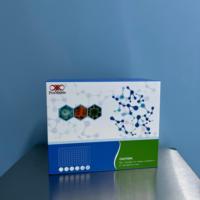 Human EPI ELISA Research Kit