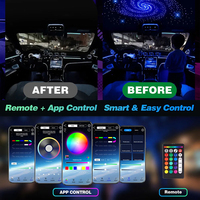 Lampes à fibres optiques LED RGB 16W IP65 en plastique pour voiture et maison, effet ciel étoilé, avec application et télécommande, lampe de plafond scintillante