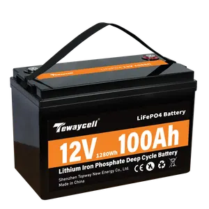 Dichte 12V 24V 36V 48V 400ah 300Ah 200ah 150ah 100ah 50ah LiFePO4 Batterie pack für Solaranlage