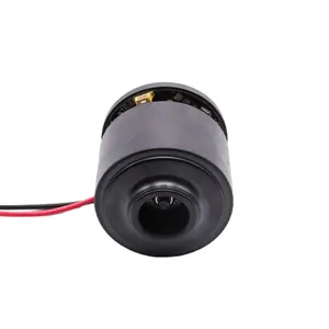 Factory Wholesale Dry Wet Vacuum Cleaner DC Electric Permanent Magnet 22V Brushless Motor