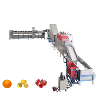 Efficiënte, voordelige, industriële, multifunctionele 304 roestvrijstalen mango sorteermachine, groente- en fruit sorteermachine, schilmachine