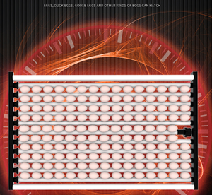 Taux d'éclosion <span class=keywords><strong>fiable</strong></span> Machine d'éclosion de haute technologie Incubateur <span class=keywords><strong>automatique</strong></span> Incubateur d'œufs de caille pour l'incubation agricole - Product Image 2