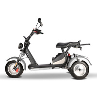 Motocicleta Eléctrica de Tres Ruedas Estilo Harley de Alta Velocidad para Adultos, con Alta Relación Costo-Rendimiento y Rendimiento Estable, 60V 2000-4000W