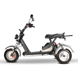 Moto électrique à trois roues de style Harley pour adultes, haute performance, rapport coût-performance élevé, performance stable, 60V 2000-4000W - Product Image 3