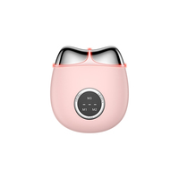 Meilleur masseur facial électrique portable OEM 2026, outils de soin de la peau, appareil de beauté pour lisser le visage, populaire en Europe TK