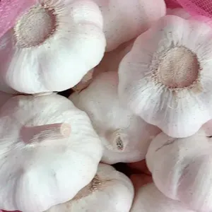 New crop Optimum super garlic pure white garlic /fresh garlic /ajo cheaper price china factory