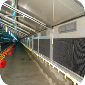 Poulailler en acier préfabriqué haute résistance, poulailler galvanisé personnalisable pour l'élevage commercial de poulets - Product Image 6