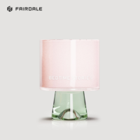 Flacon diffuseur à roseaux unique en verre vide, design lampe exquis, 30ml 50ml 100ml