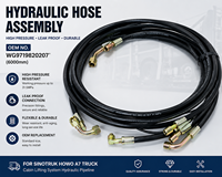 Ensemble de Tuyaux Hydrauliques SINOTRUK HOWO A7 WG9719820207, Tuyau d'Huile Haute Pression, Remplacement OEM
