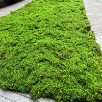 Herbe artificielle verte de pelouse de mousse de bricolage pour la décoration de supermarché aménagement paysager occasion de Thanksgiving matériel de mousse plante de mousse