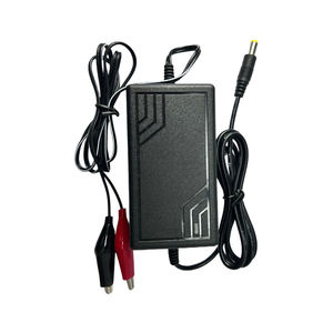 12V 1A 2A 3A 4A 5A elektrikli bisiklet şarj ile aşırı gerilim koruma kurşun asit pil şarj cihazı timsah klip ile - Product Image 1