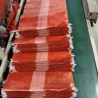 Fabrieksgecertificeerde 50x80cm PP Leno Mesh zakken, UV-gestabiliseerd, met aangepast logo, voor het opbergen van 25kg en 50kg groenten en brandhout.
