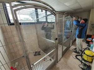 AEOLUS Construindo Canis Comercial Canil Canil para Embarque Gaiolas, Transportadoras e Casas para Animais de Estimação Estrutura de madeira personalizável clássica