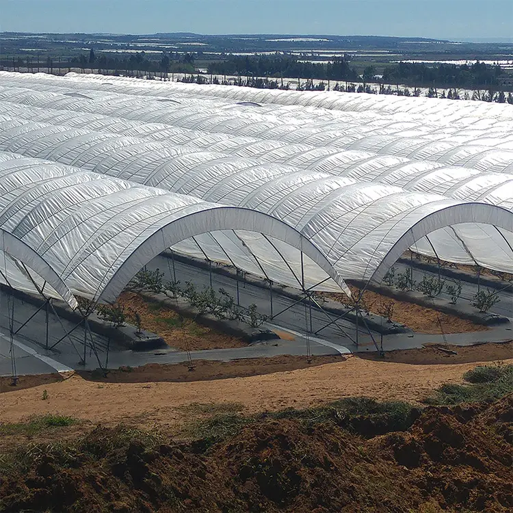 Mini tunnel d'agriculture à haute teneur en polyéthylène, noir, à prix bas, abri de pluie pour plantes, abri pour tomate, légumes