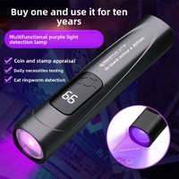 Lampe torche UV 365nm Détecteur de billets Agent fluorescent Lampe de détection violette LED portable Alimentée par piles à pression manuelle