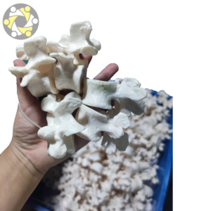 Modèle de squelette humain grandeur nature avec os dispersés, en PVC écologique, certifié ISO, outil d'anatomie médicale réaliste - Product Image 4