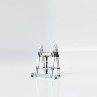 Échelle télescopique pliable en aluminium à 10 marches, haute résistance, portable pour l'extérieur, vente en gros d'usine