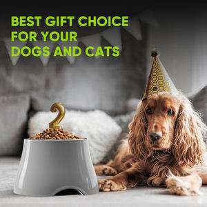 Bol pour animaux de compagnie robuste pour petits chiens, motif uni, design personnalisé, base antidérapante, mélamine durable, style moderne, vente en gros - Product Image 6