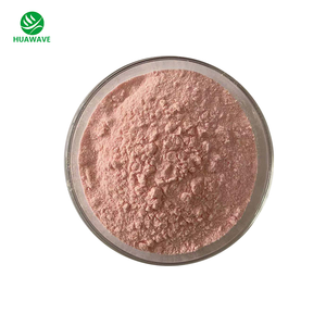 Poudre instantanée de Cerasus Humilis de poudre de cerise naine chinoise pure de haute qualité d'Oragnic 100% - Product Image 3