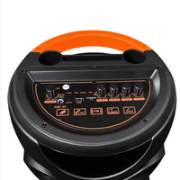 Altavoz Portátil para Eventos al Aire Libre con Doble Woofer de 10 Pulgadas, Luces RGB, Bluetooth 5.0, 2 Micrófonos para Karaoke, Batería de 5000-10000 mAh, 20 W, Control Remoto