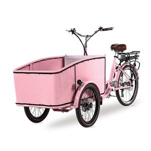 Tricycle électrique 10 pouces pour <span class=keywords><strong>famille</strong></span>, 3 roues, bicyclette avec siège coussin - Product Image 1