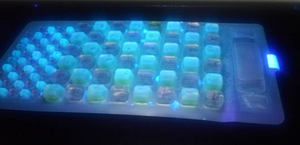 51 Putdetectieplaatcoliform <span class=keywords><strong>Test</strong></span> Kwantitatieve Detectiebak E Coli Versus Totaal Coliform Detectievak - Product Image 2