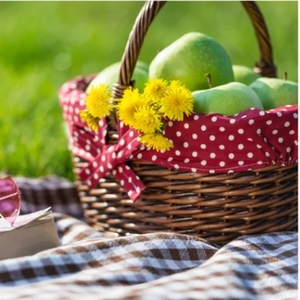 Factory custom wholesale rustic chic cheap empty <b>wicker</b> <b>storage</b> picnic <b>wicker</b> <b>basket</b> <b>with</b> <b>lid</b> - Product Image 4