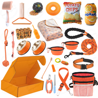 Kit de démarrage essentiel pour chiots de petite et moyenne taille, 31 pièces, rose, violet, orange, bleu