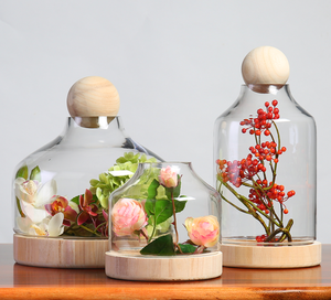 Fermoir en verre Borosilicate transparent avec couvercle en boule, peut se porter sur la Base en bois et au couvercle de boule - Product Image 5
