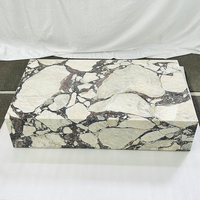 2025 meubles Table basse socle bas marbre salon naturel personnalisé Calacatta Viola Table basse d'appoint