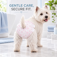 Exportation usine de couches jetables pour chien femelle, doublure douce et sèche, noyau anti-humidité pour la chaleur et l'incontinence