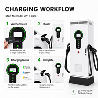 Station de recharge rapide DC pour véhicules électriques 30kW 40kW 60kW, simple/double borne, GB/T, IP54, montage au sol, OCPP 1.6J pour la recharge publique commerciale