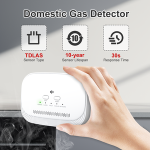 Détecteur de gaz <span class=keywords><strong>domestique</strong></span> Bosean, nouveau design, ABS, détecteur de gaz <span class=keywords><strong>domestique</strong></span> 2 en 1, CH4 CO, alarme de gaz filaire personnelle pour usage <span class=keywords><strong>domestique</strong></span> - Product Image 2
