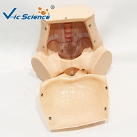 Simulateur d'accouchement avancé avec modèle de dilatation cervicale en 5 étapes pour laboratoire de compétences obstétricales CE ISO ROHS CNAS