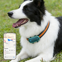 Rastreador GPS para Mascotas Qcool con Control por Programa, Posicionamiento en Tiempo Real, Diseño Personalizado, Alerta Antipérdida, Navegación LED Inalámbrica, Collar para Animales