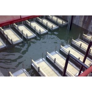 Membrana de Biorreactor Confiable de 300m3/d, Membrana PVDF MBR para la Industria Alimentaria - Product Image 1