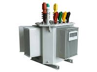 Transformador de Distribución Sumergido en Aceite Sellado para Aplicaciones de Subestaciones de 10kV 0.4KV