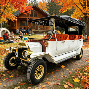 Voiture électrique classique chinoise ZOWN 5 places de haute qualité, populaire, rouge vintage, véhicule de tourisme avec garantie de 2 ans, à vendre - Product Image 1