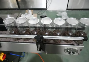 Low Cost Automatic Small Bottling Can Jar Gummy Licorice Candy Filling Machine